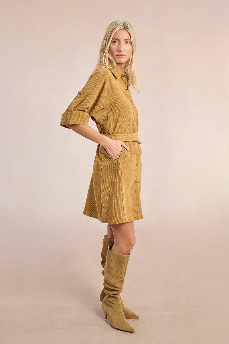 Velvet Shirt Dress