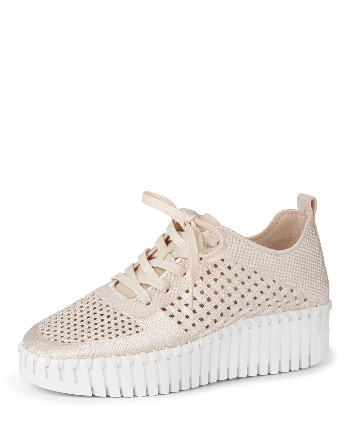 SALE!!Tulip Kit Tennis Shoe