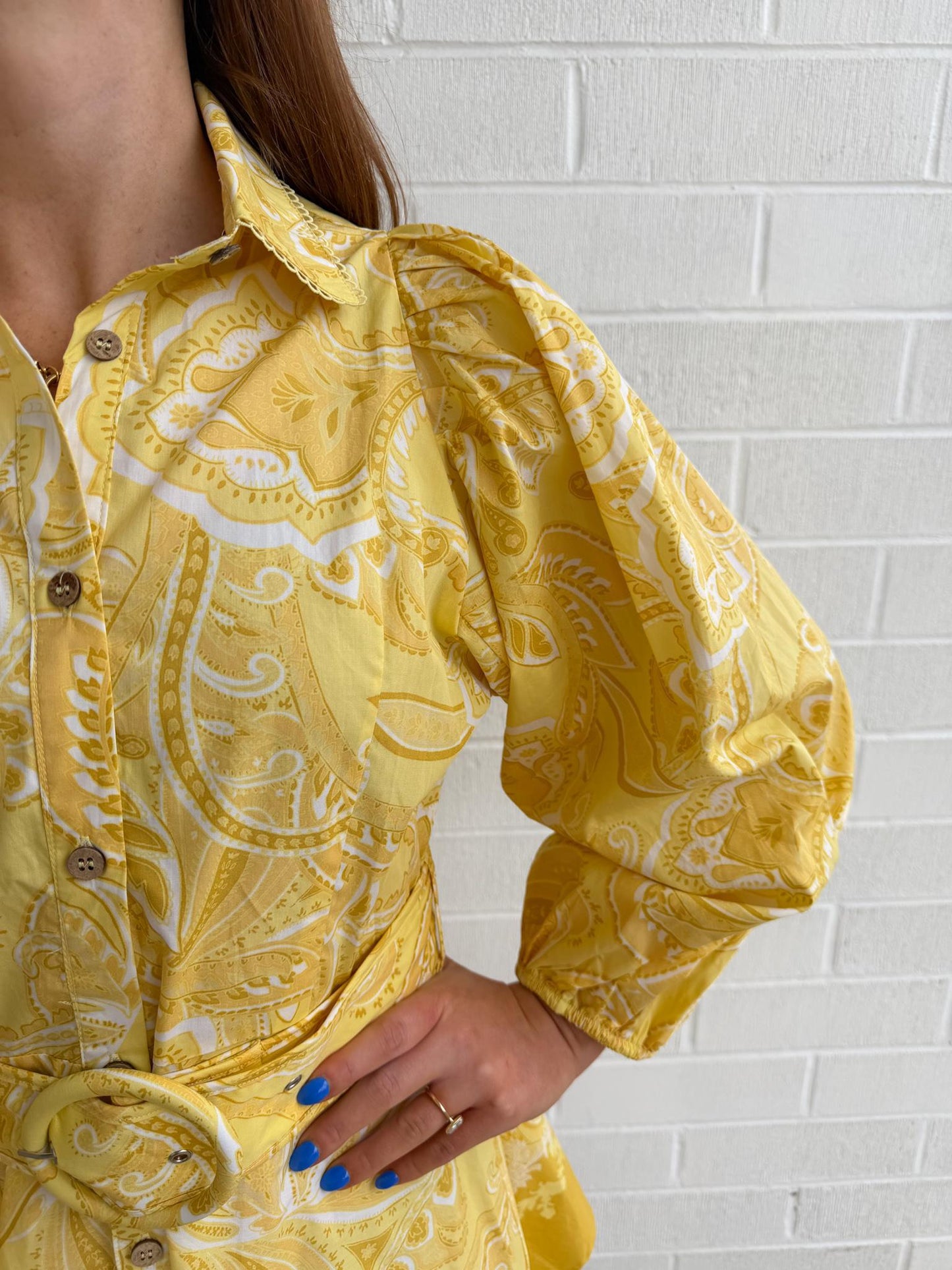 Belted Paisley Mini Dress