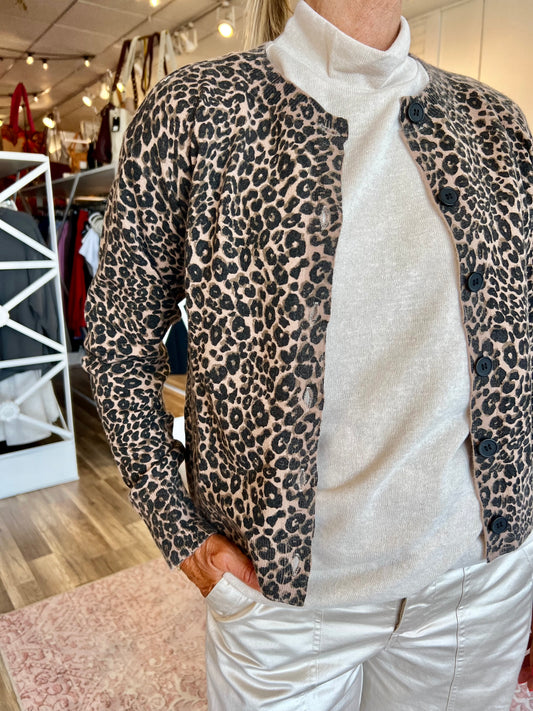 Must Have Cardi- French Kitty