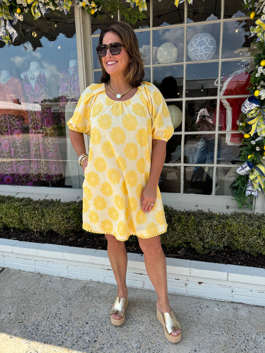 Ivy Jane Fresh Daisies Dress