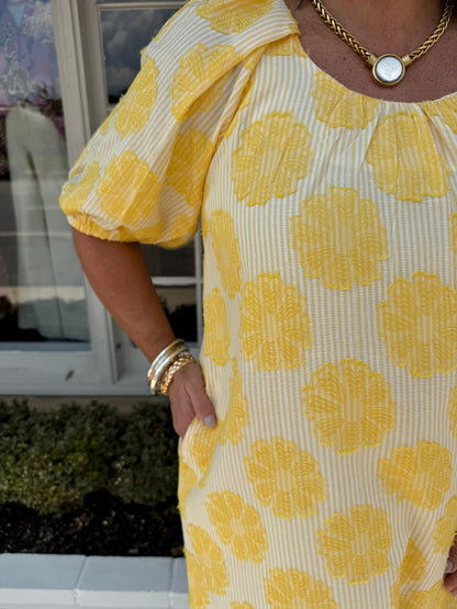 Ivy Jane Fresh Daisies Dress