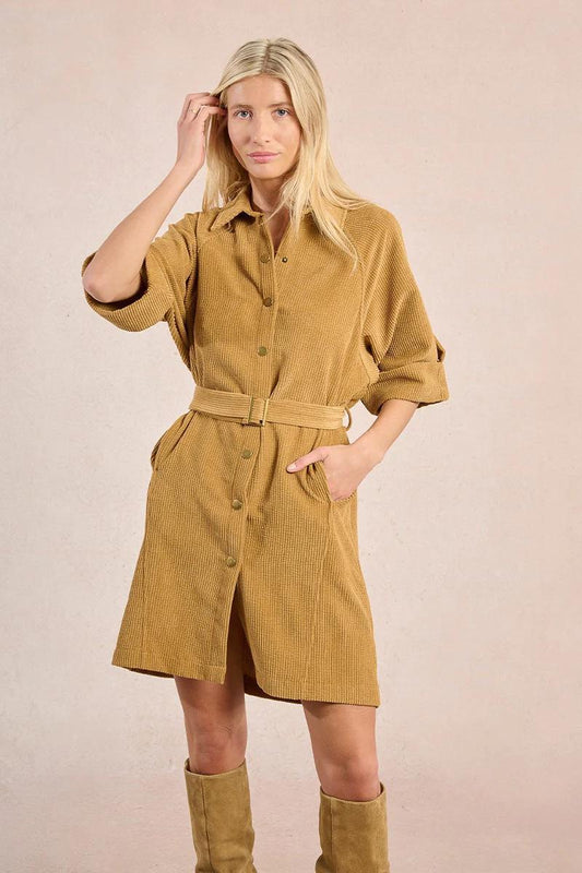 Velvet Shirt Dress