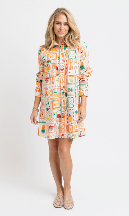 Fruit Basket Shirt Dress