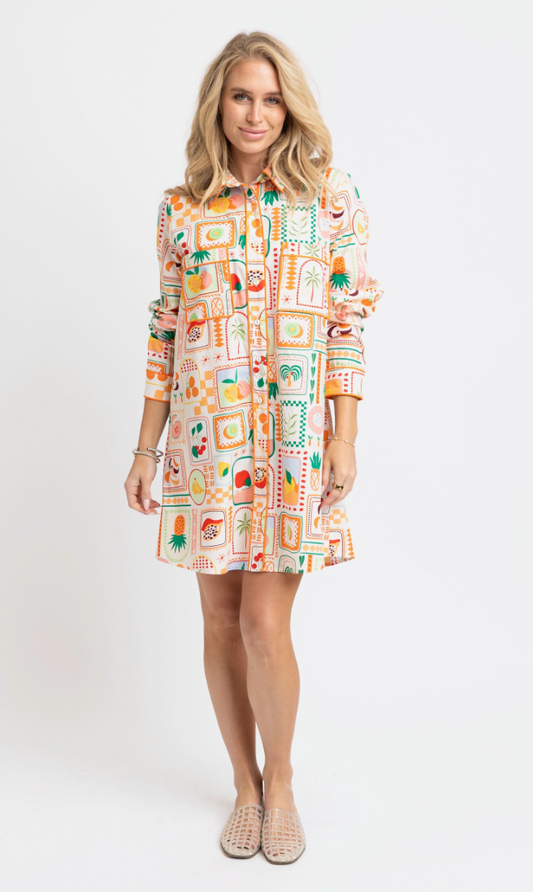 Fruit Basket Shirt Dress