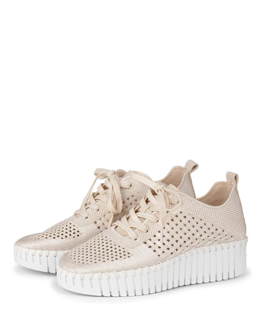 SALE!!Tulip Kit Tennis Shoe